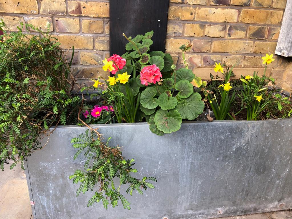 Photo from debmitchener(13)